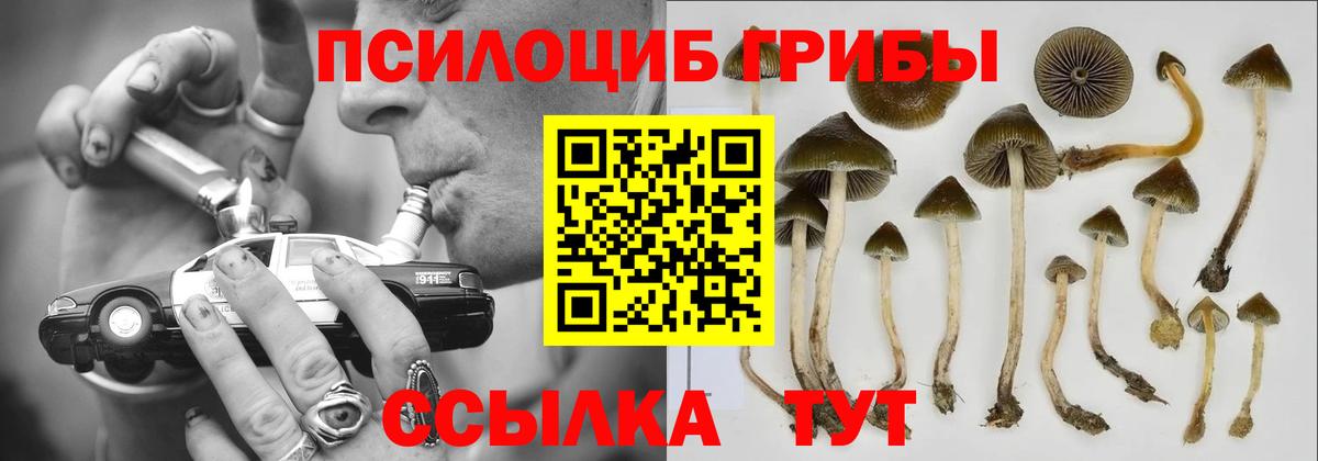 Мелеуз  Галлюциногенные грибы MAGIC MUSHROOMS  Вход с VPN  Галлюциногенные грибы мицелий 